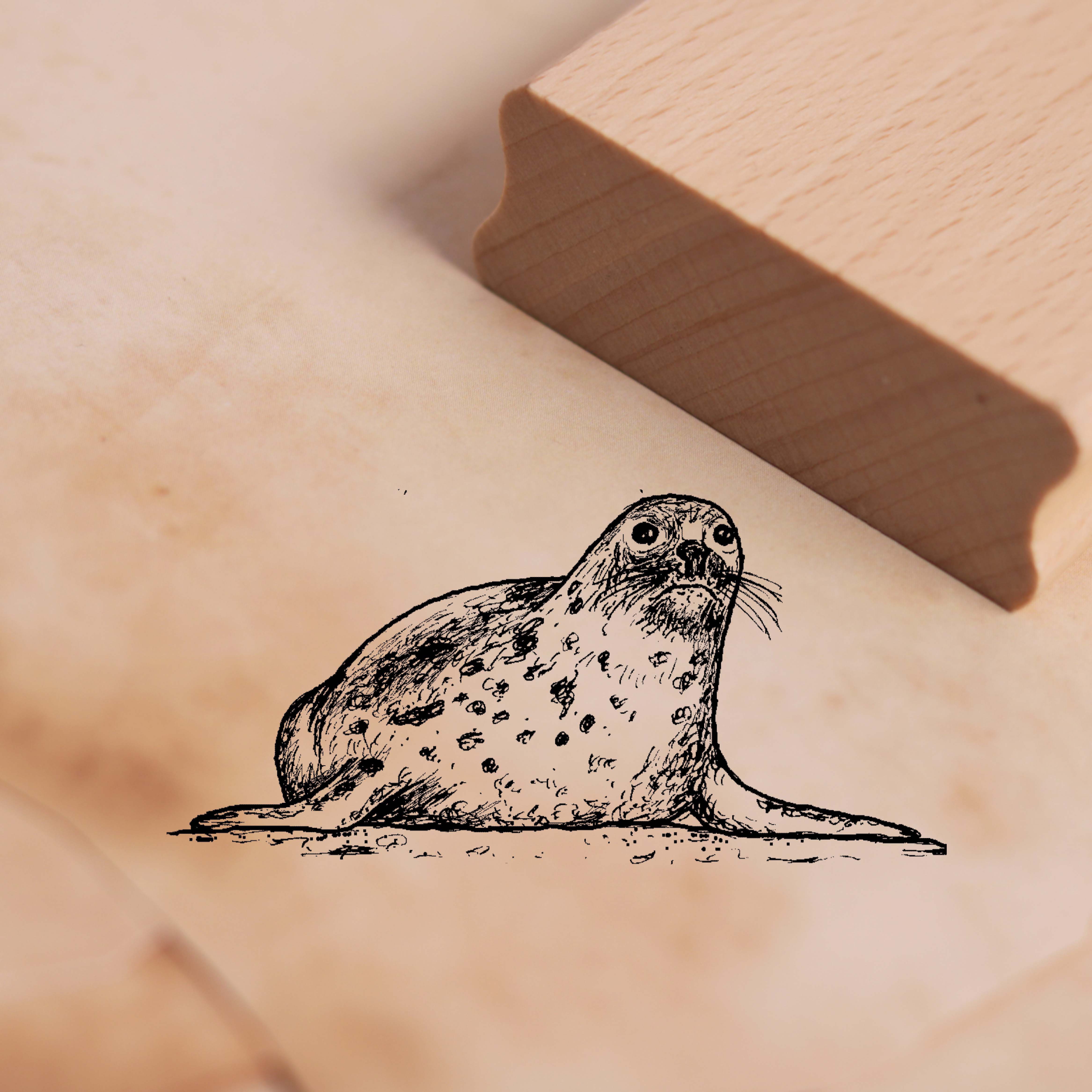 Motivstempel Seerobbe Stempel Robbe 58 x 28 mm