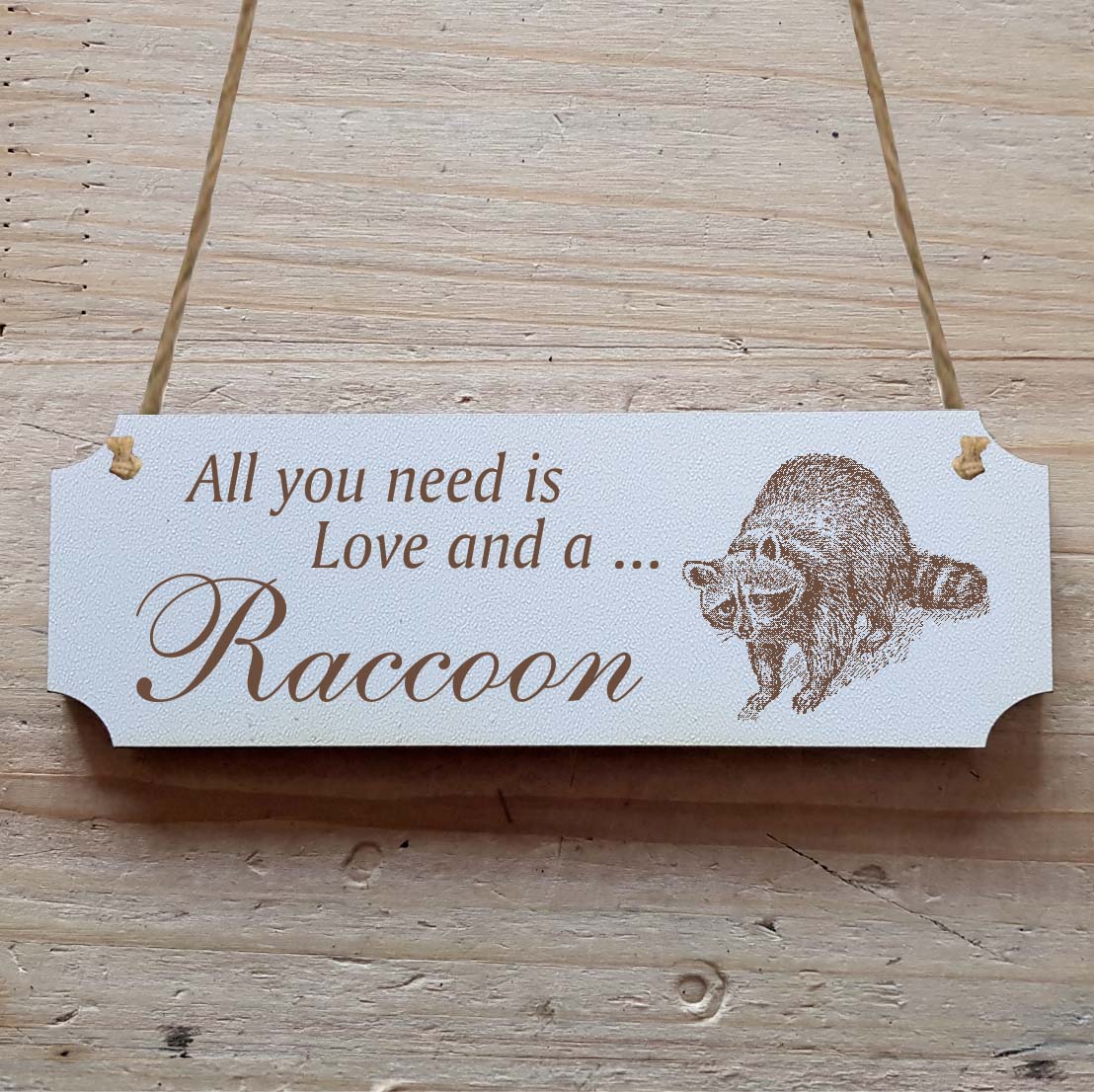 Dekoschild « All you need is Love and a Raccoon » Waschbär 1