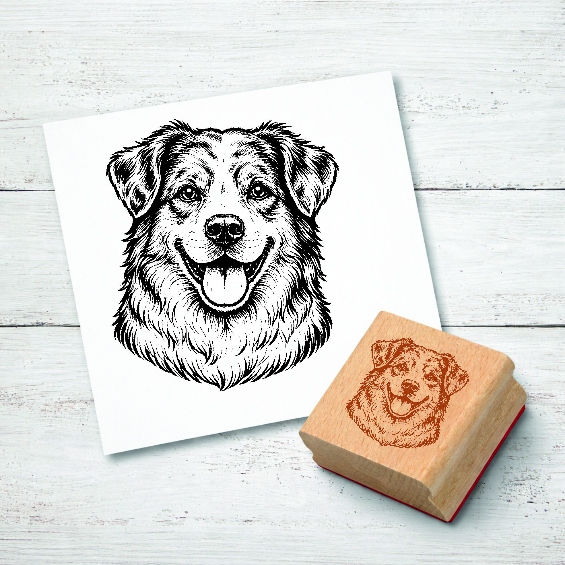 Motivstempel Australian Shepherd Hund - Stempel mit Hundemotiv - Holzstempel Abdruck 48 x 42 mm