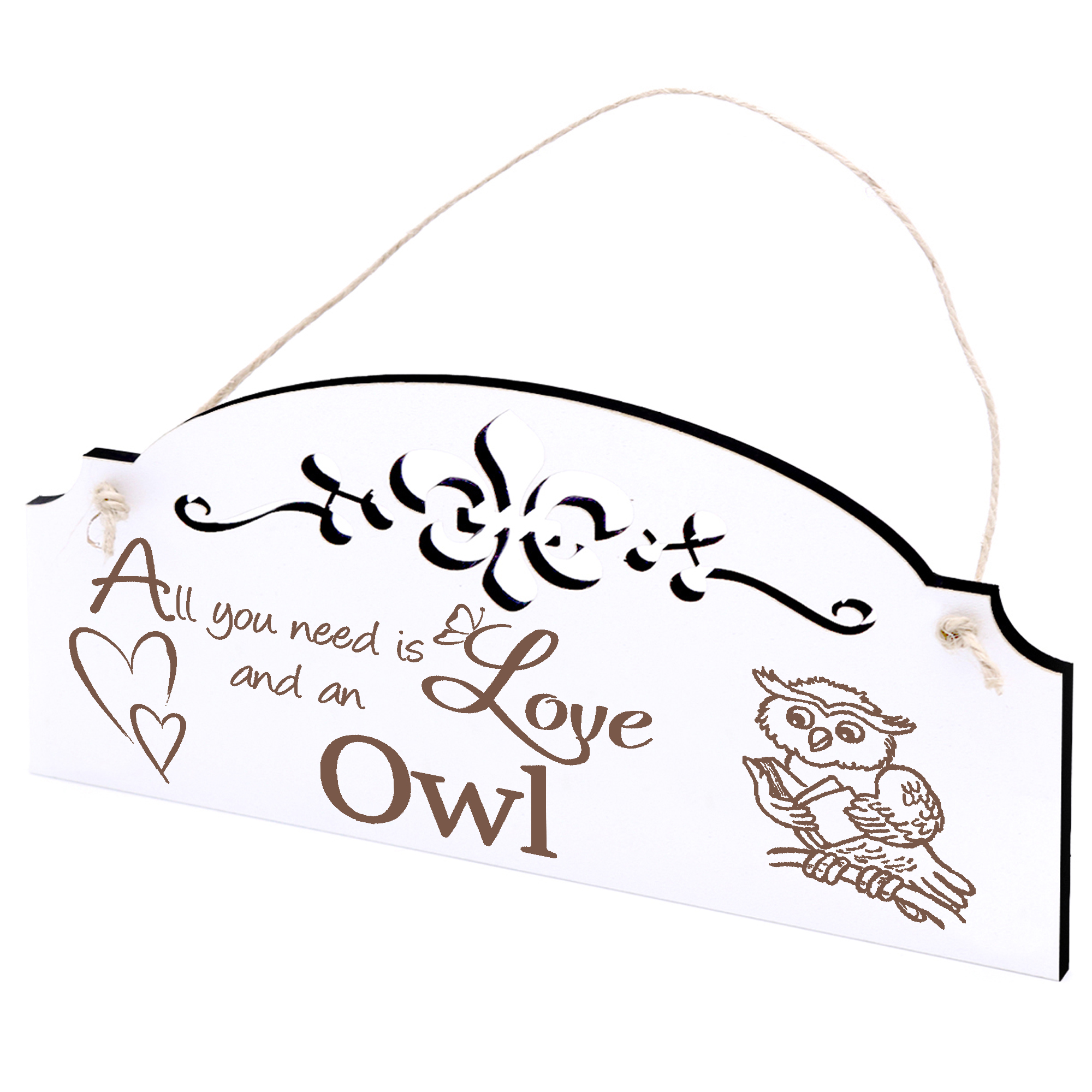 Schild niedliche Eule mit Buch Deko 20x10cm - All you need is Love and an Owl - Holz