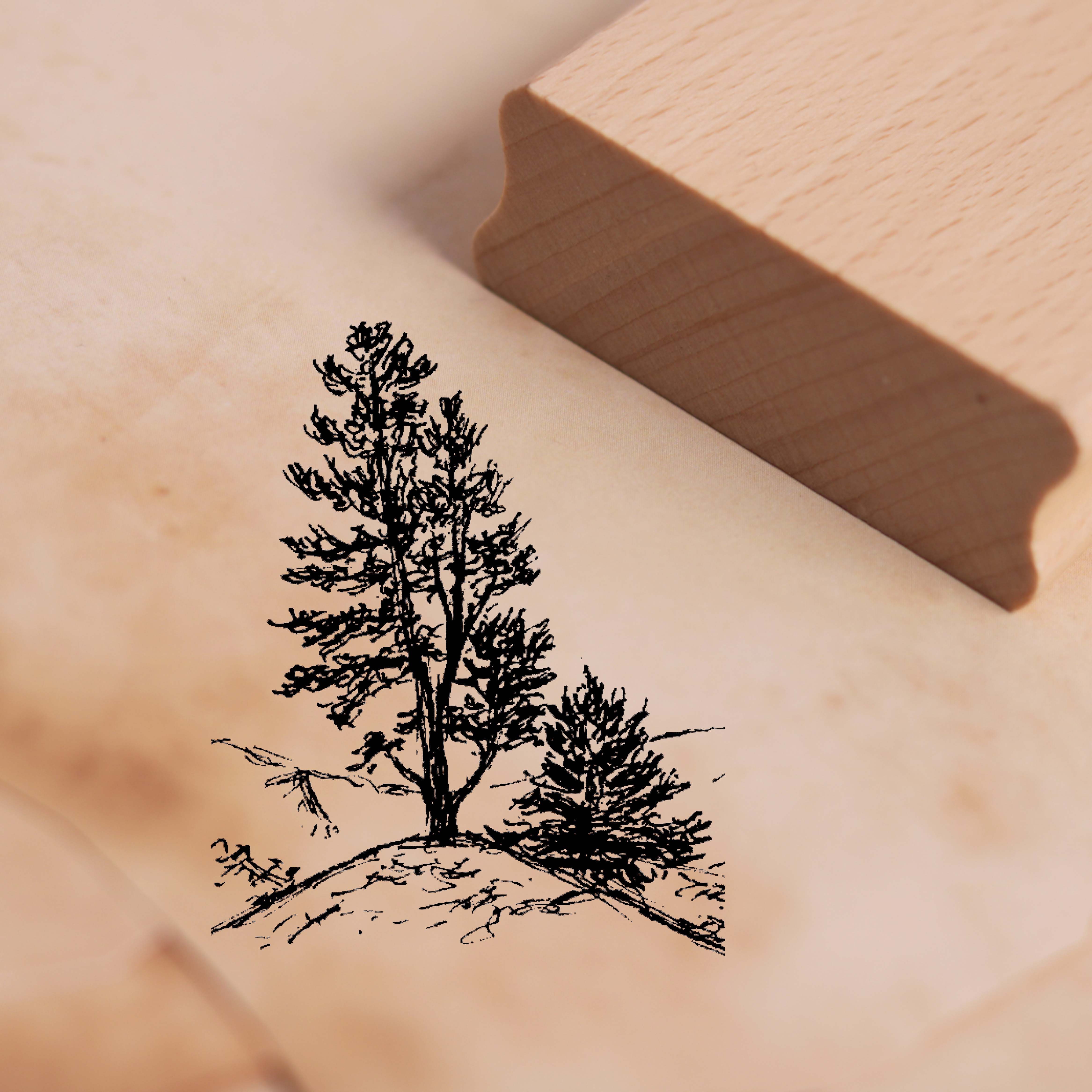 Motivstempel Zirbelkiefer Stempel Baum Zirbe Zirbel 38 x 48 mm