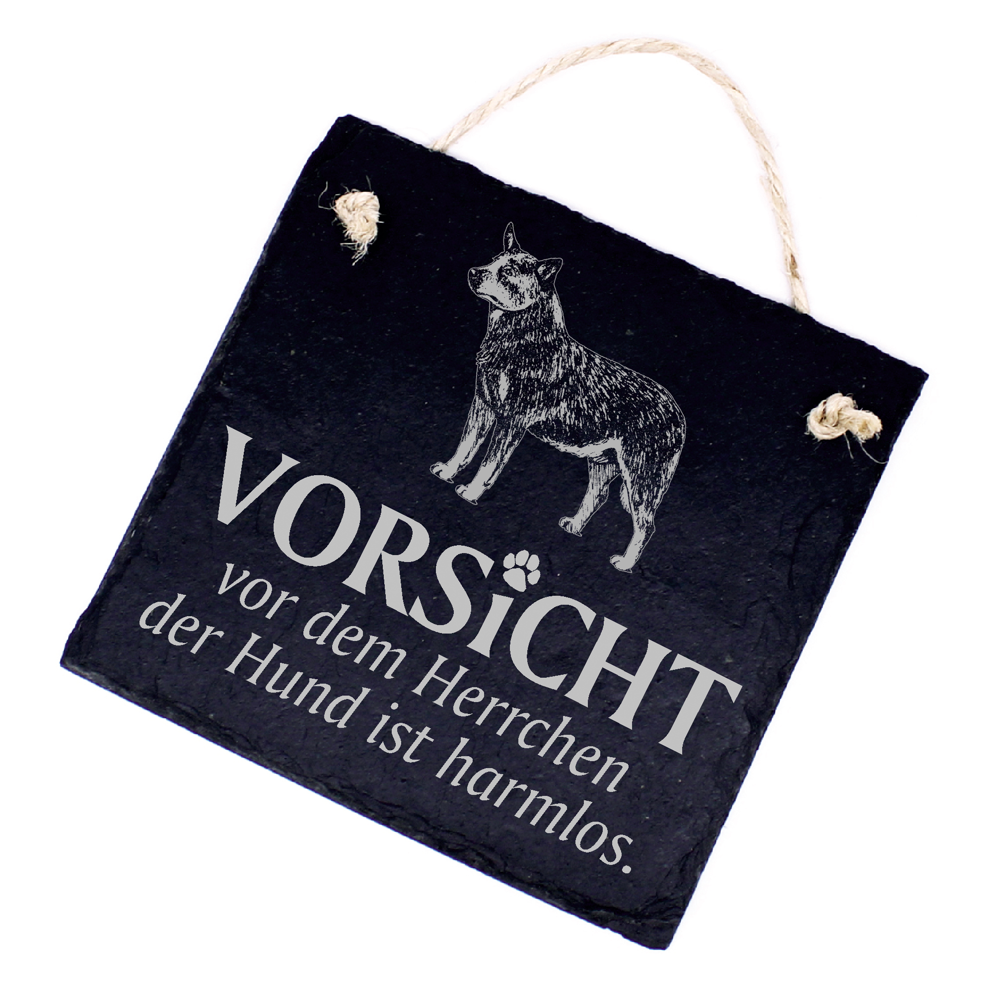 Hundeschild Australian Cattle Dog Schild aus Schiefer - Vorsicht vor dem Herrchen - 11cm x 11cm