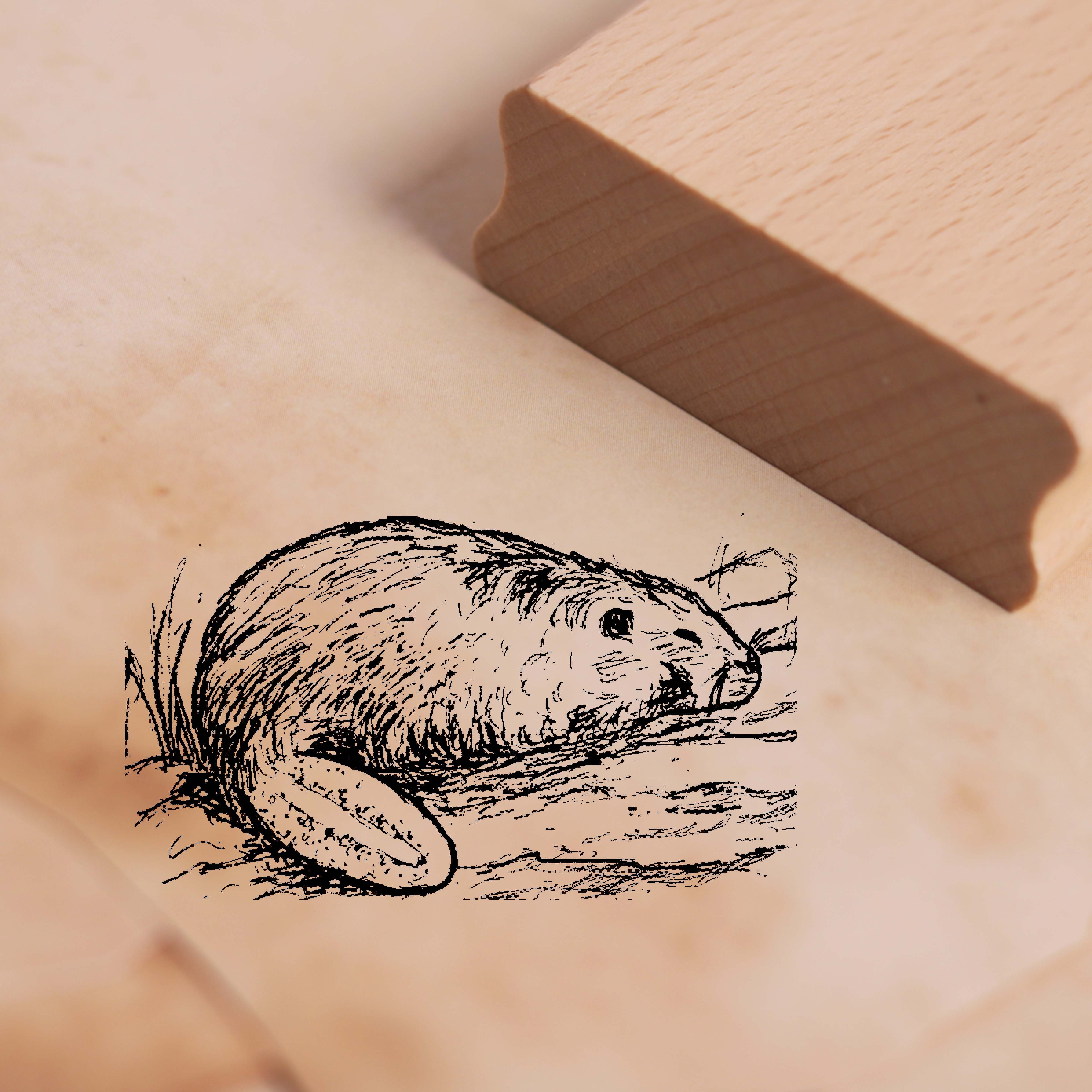Motivstempel Biber im Wasser Stempel 48 x 28 mm