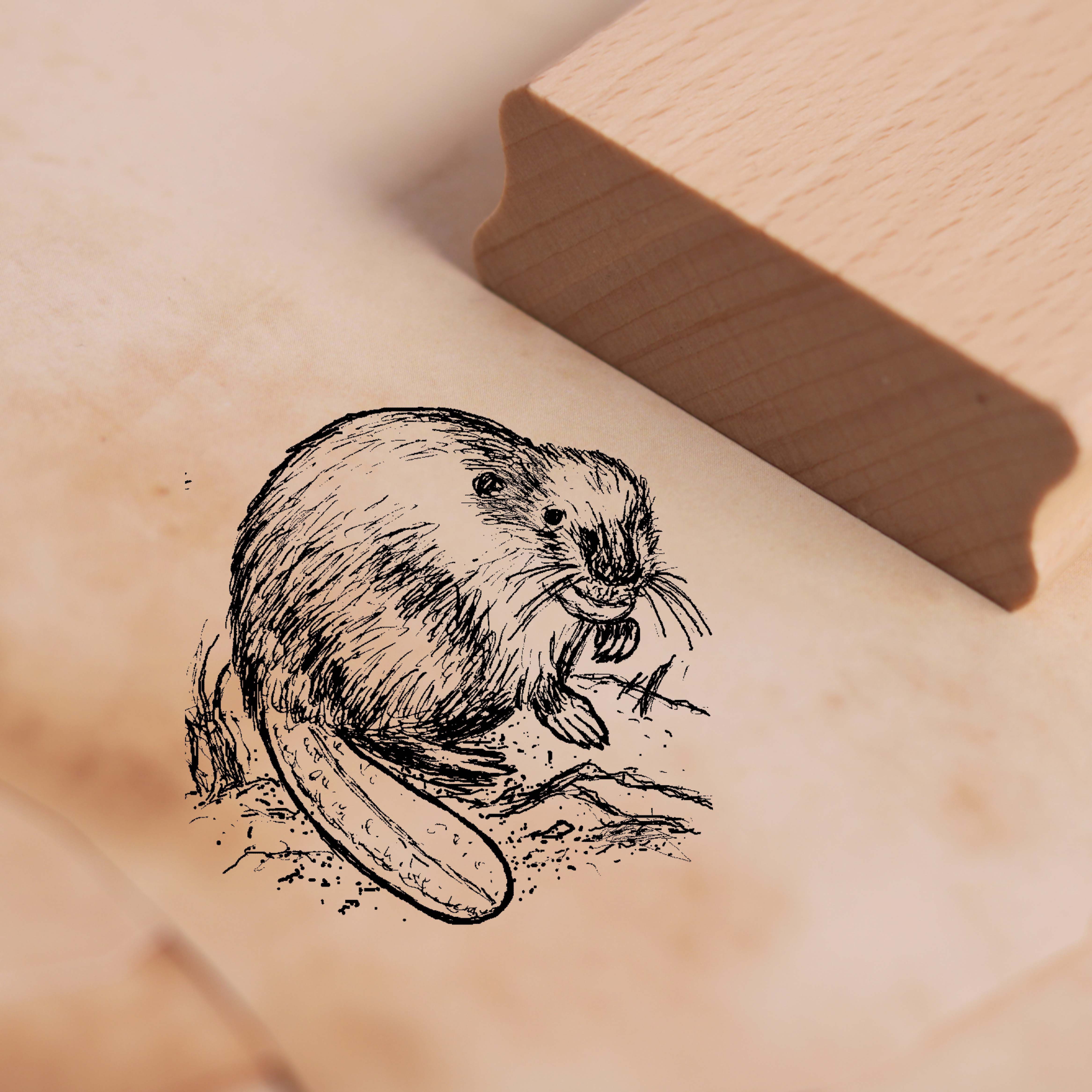 Motivstempel Biber auf der Wiese Stempel 48 x 48 mm