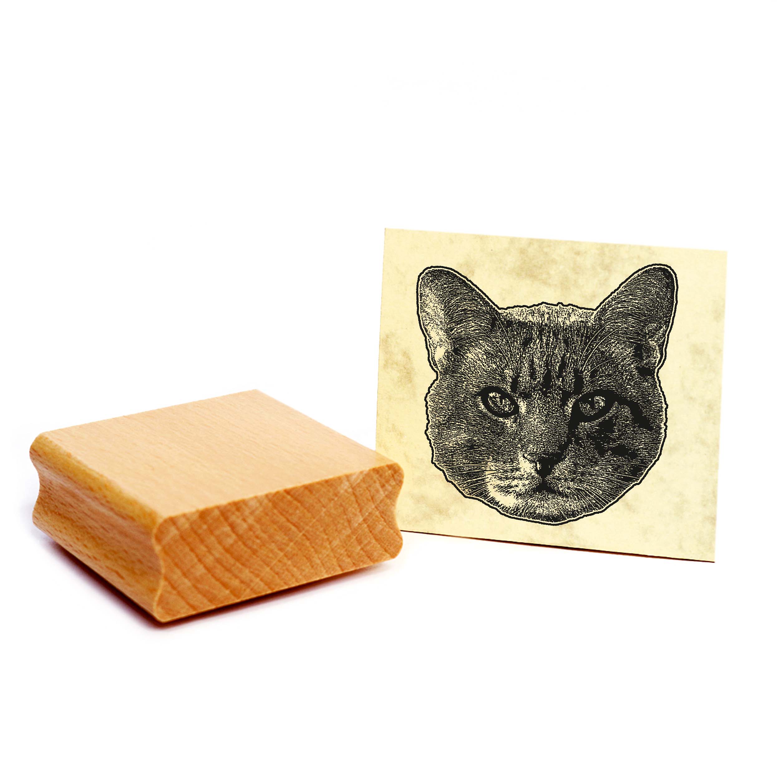 Motivstempel Ocicat - Stempel Katze Holzstempel ca. 48 x 48 mm