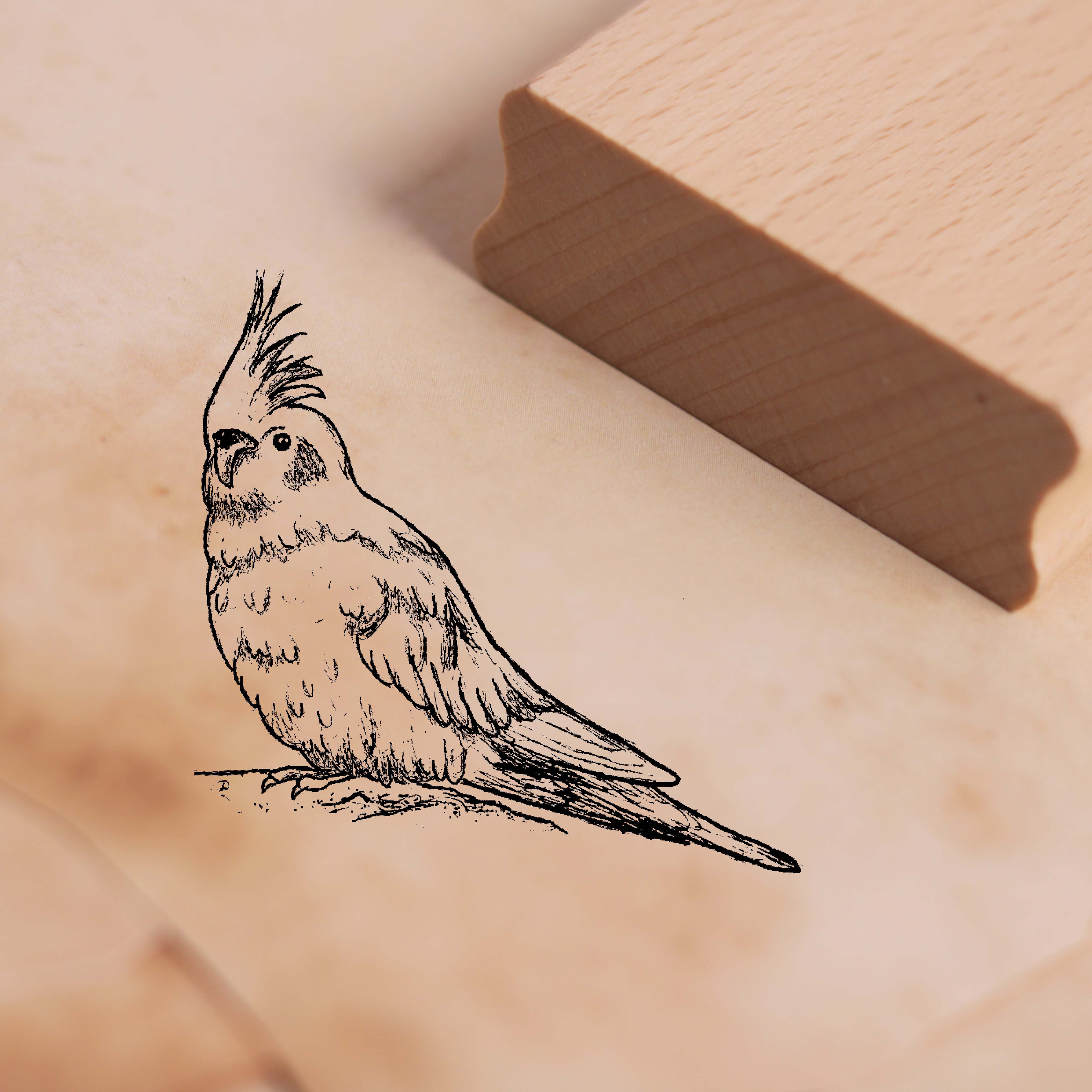 Motivstempel Nymphensittich Stempel 38 x 38 mm