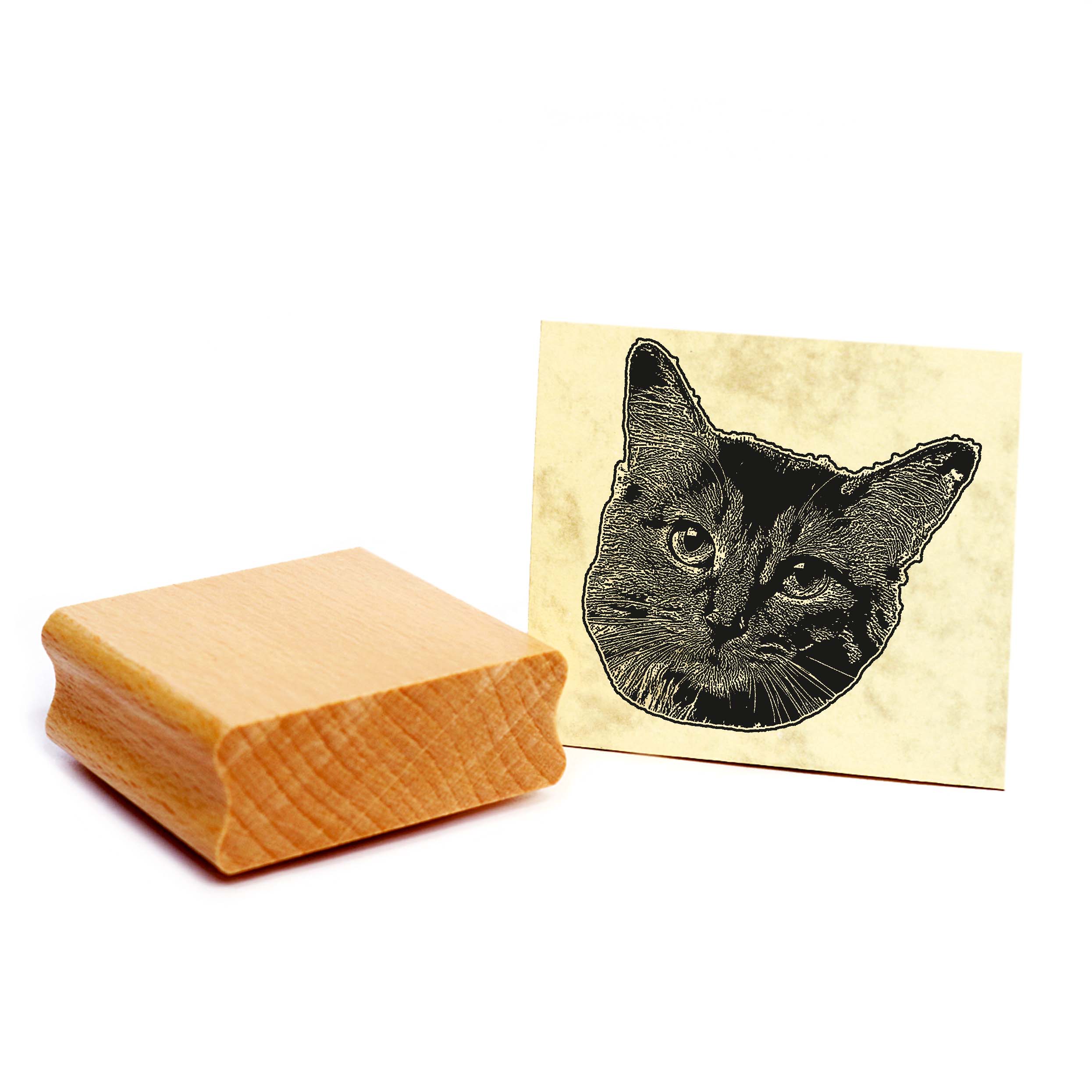 Motivstempel Somali-Katze - Stempel Katze Holzstempel ca. 48 x 48 mm