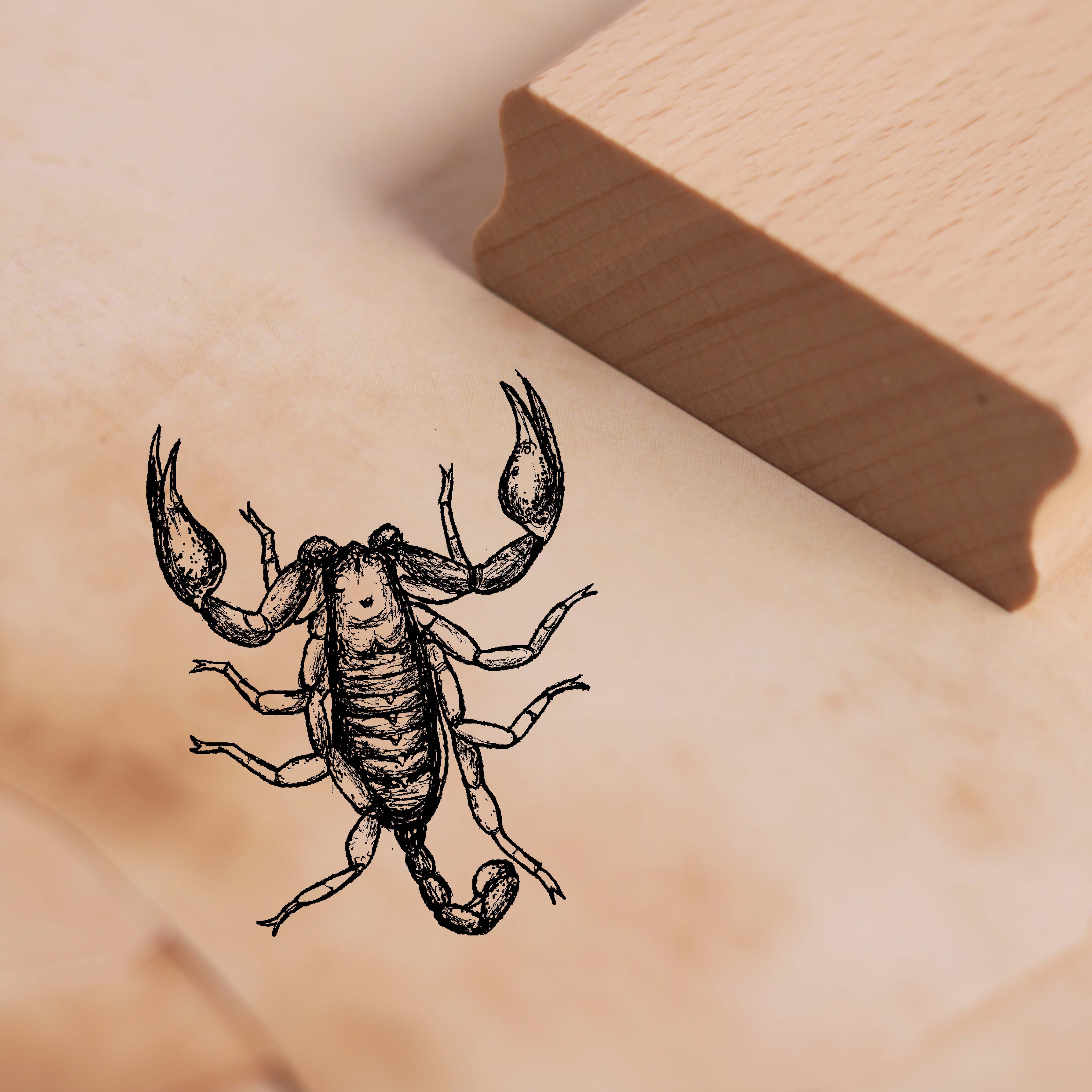 Motivstempel Skorpion - Stempel 38 x 48 mm