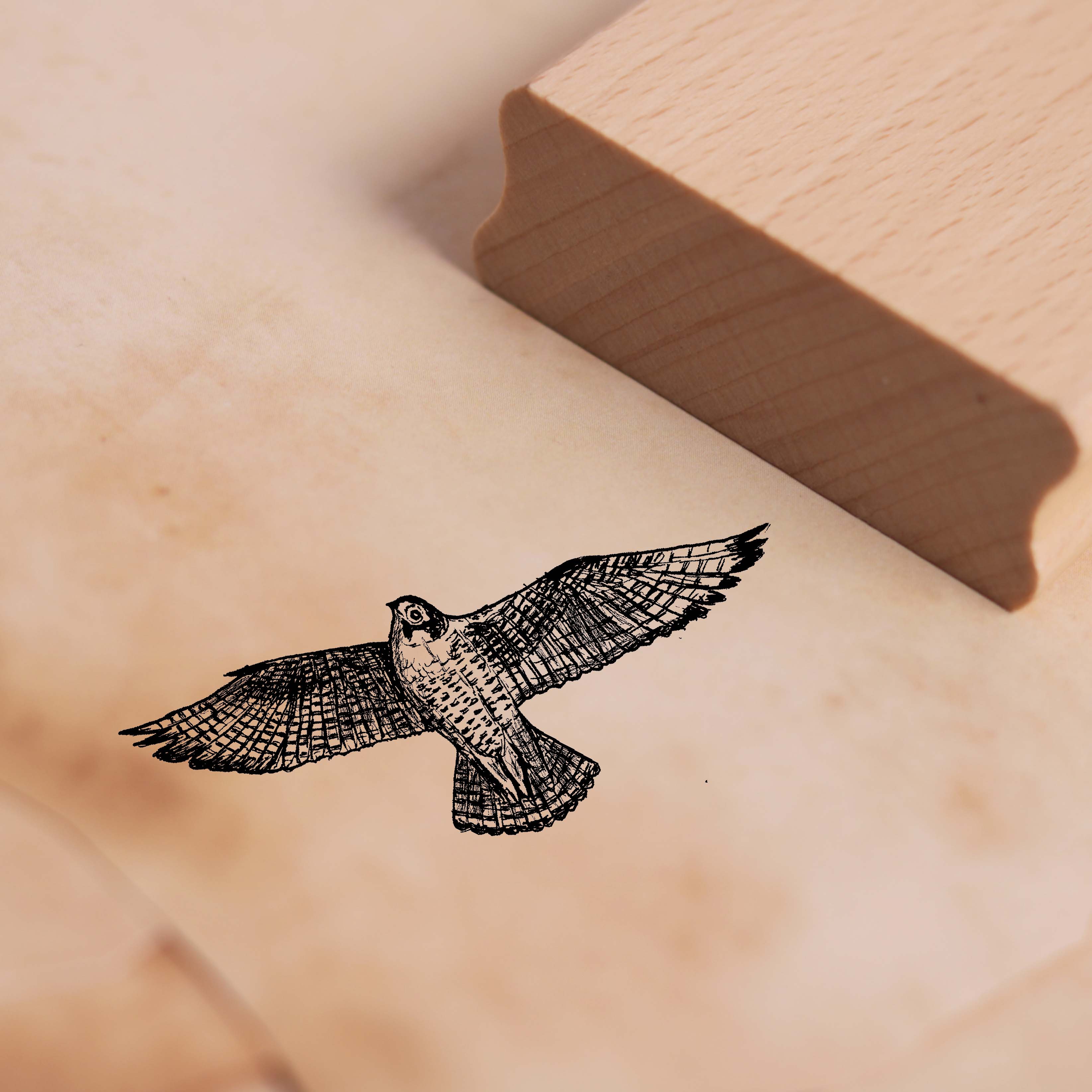 Motivstempel Wanderfalke fliegt - Stempel 58 x 28 mm