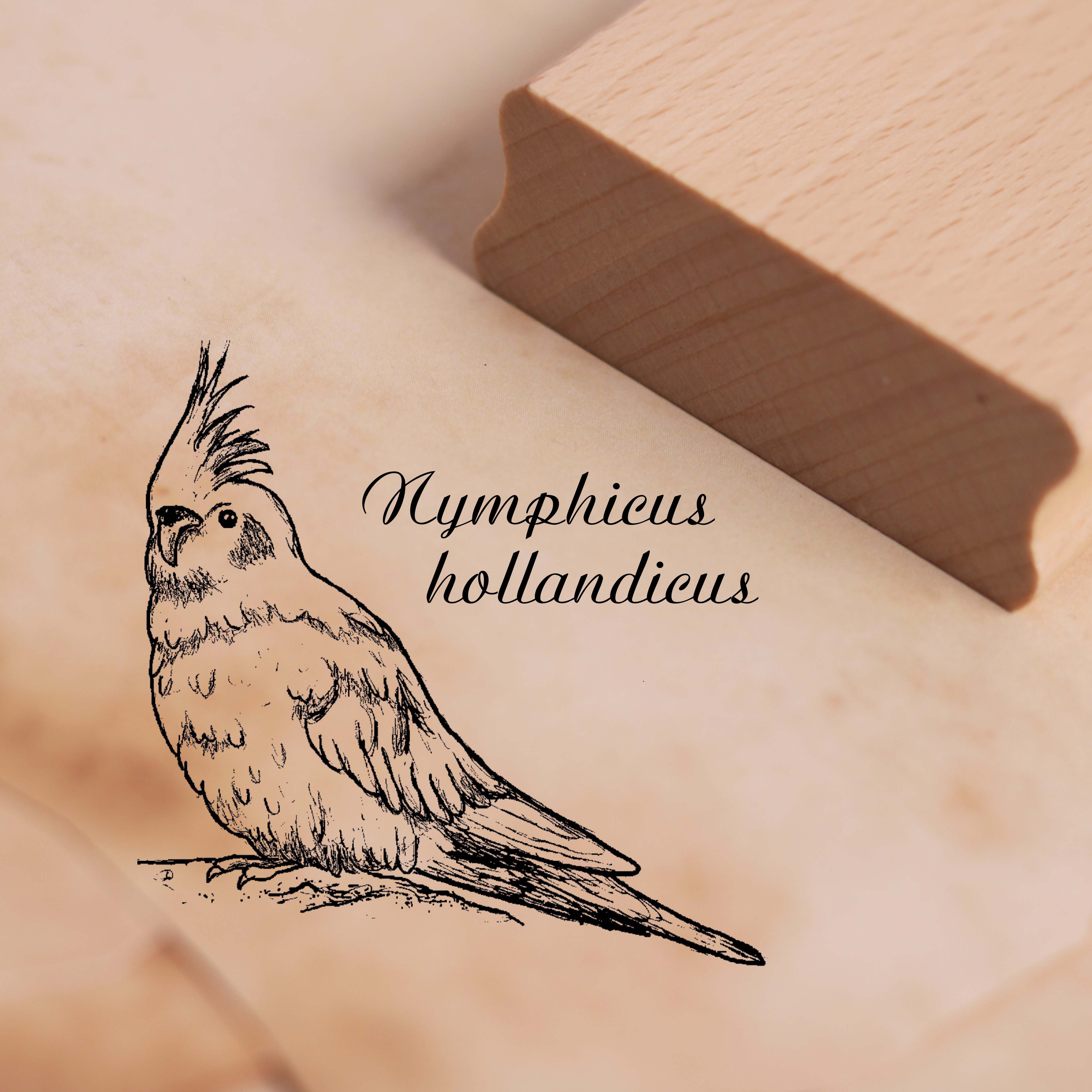Motivstempel Nymphensittich Nymphicus hollandicus Stempel 48 x 48 mm