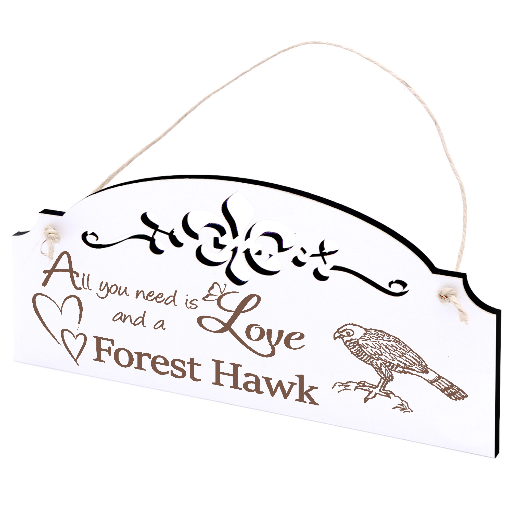 Schild Waldfalke Deko 20x10cm - All you need is Love and a Forest Hawk - Holz