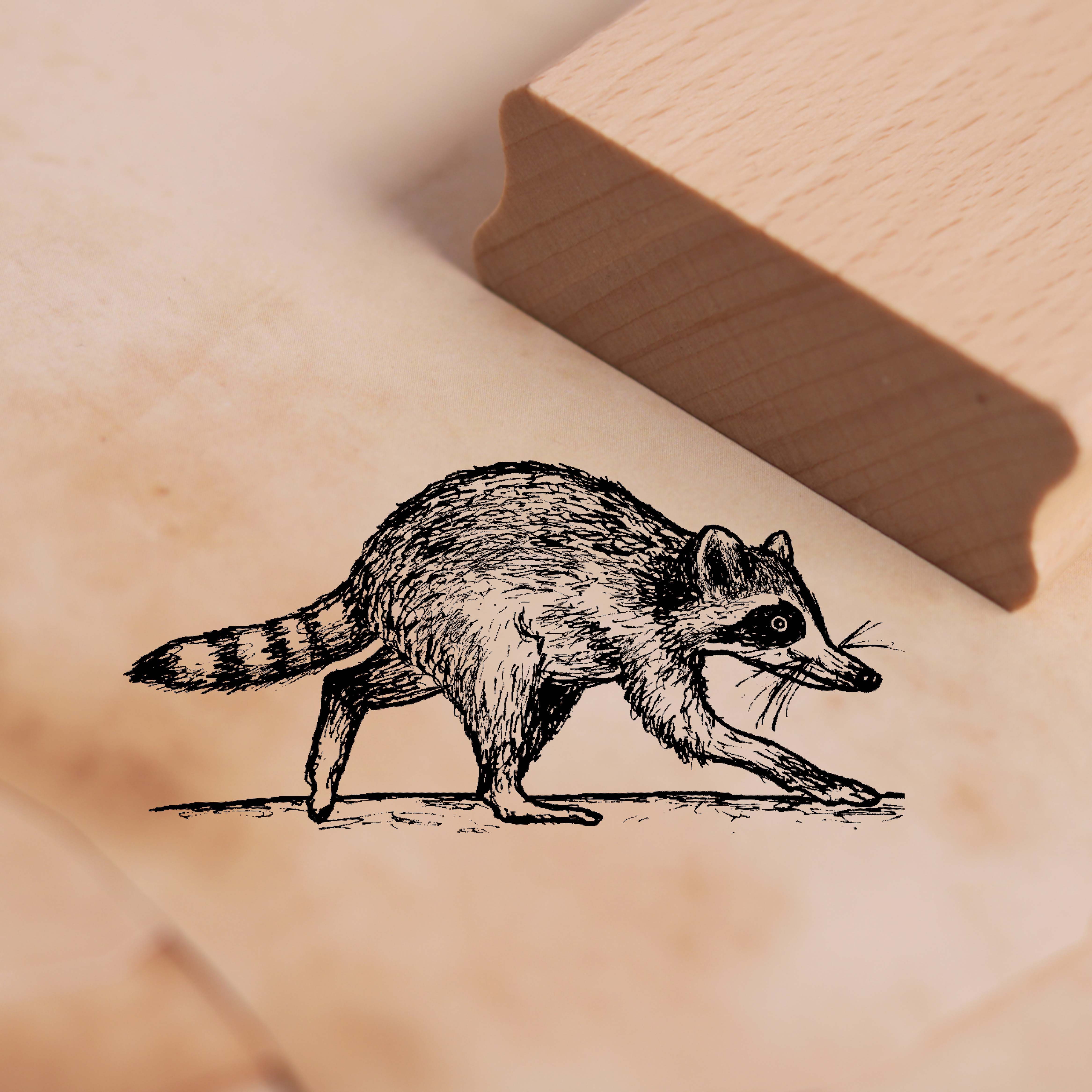 Motivstempel Waschbär läuft Stempel 58 x 28 mm