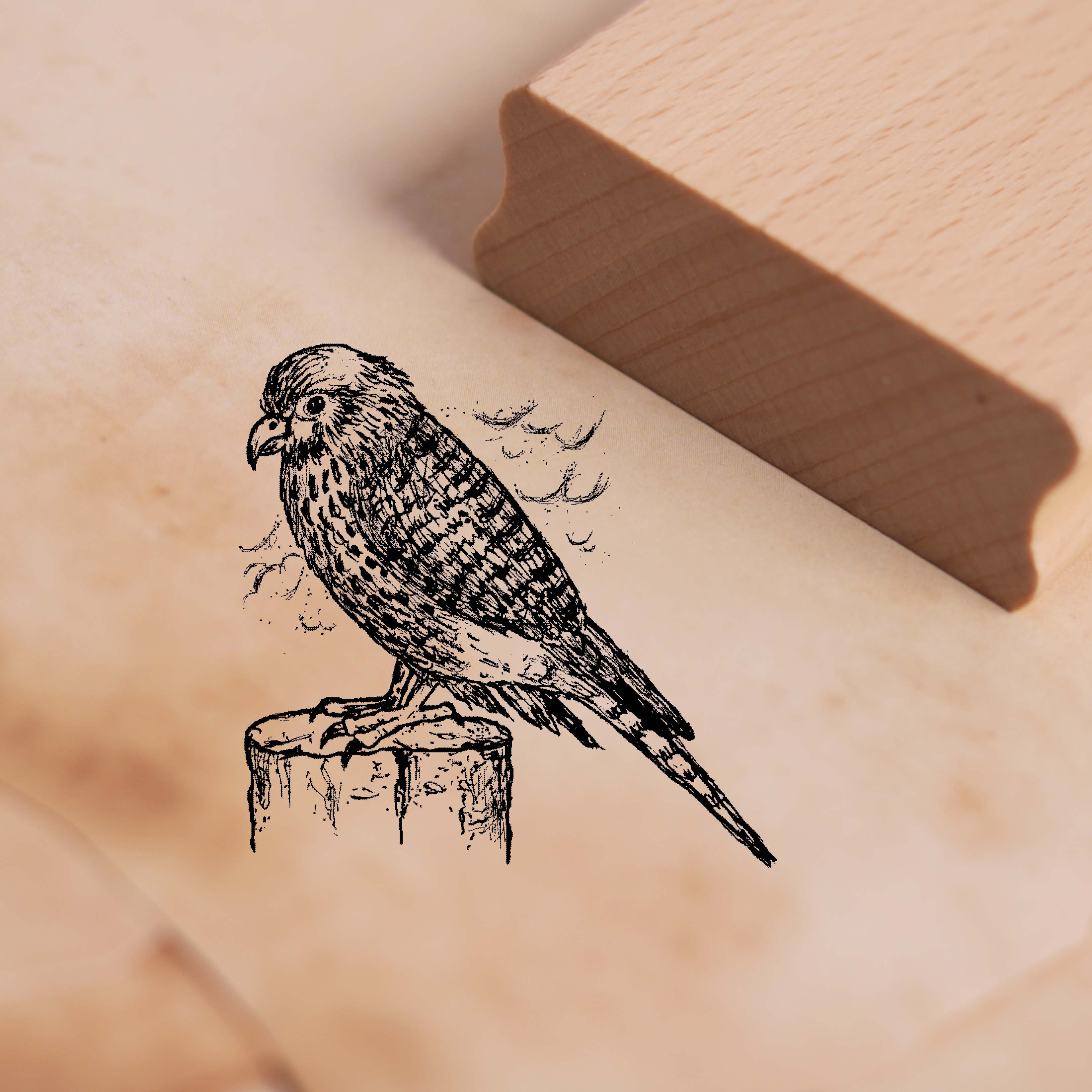 Motivstempel Turmfalke auf Stamm - Stempel Holzstempel 48 x 48 mm