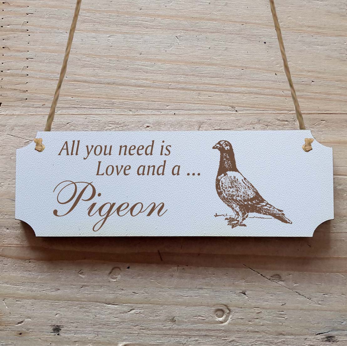 Dekoschild « All you need is Love and a Pigeon » Taube 1