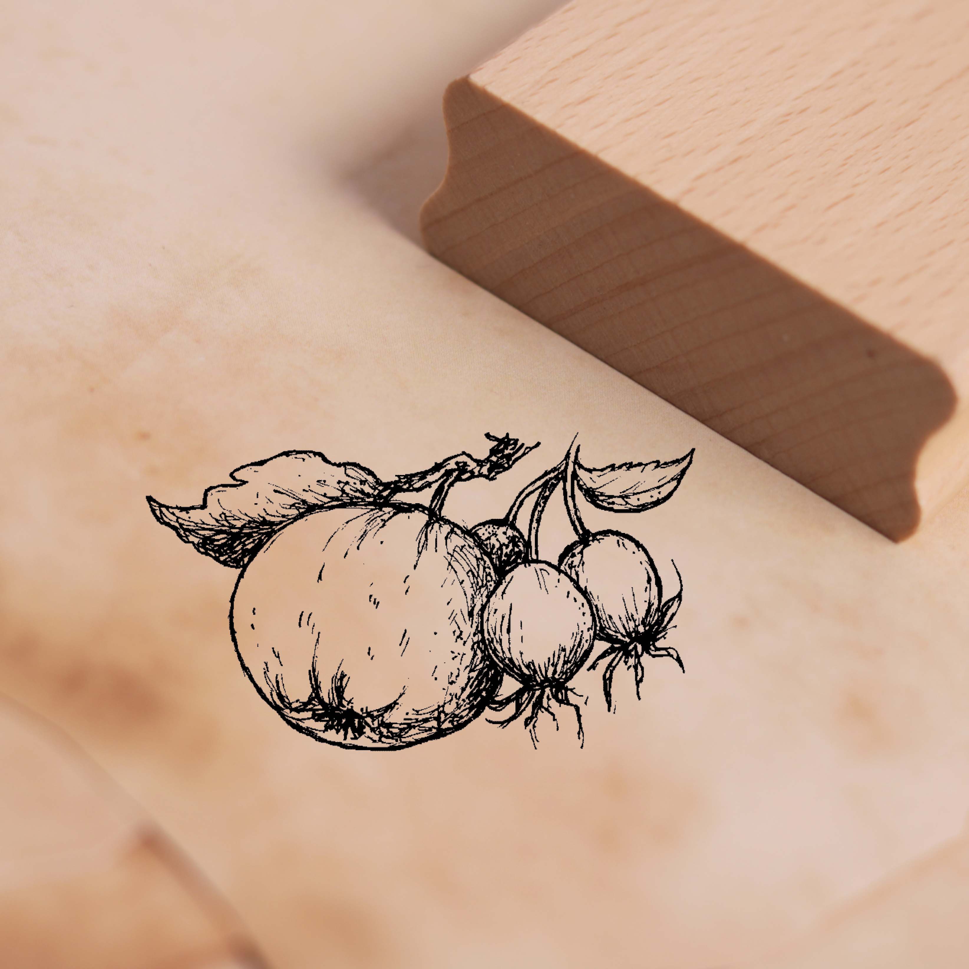 Motivstempel Apfel und Hagebutte - Stempel Holzstempel 48 x 28 mm