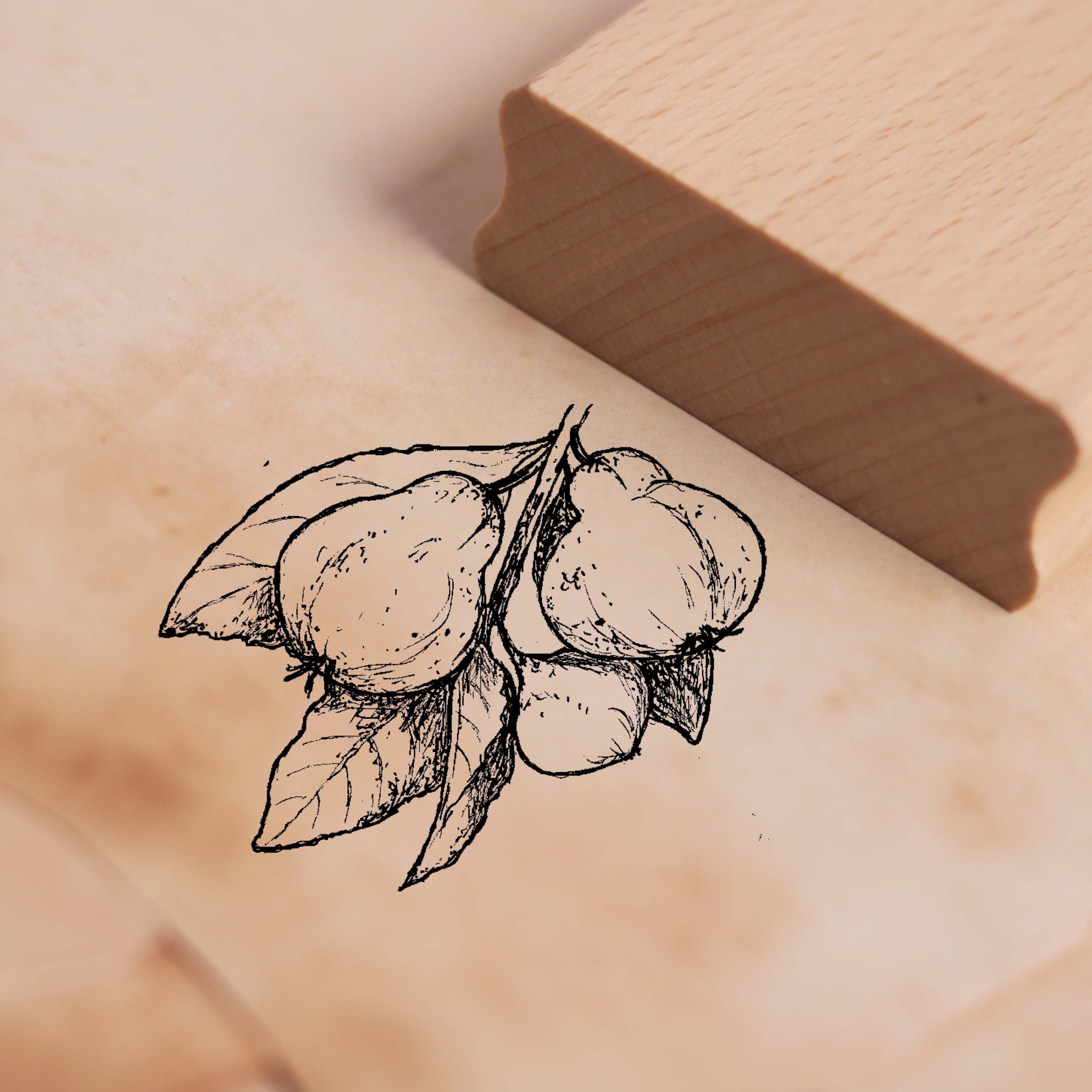 Motivstempel Quitte - Stempel Holzstempel 48 x 38 mm