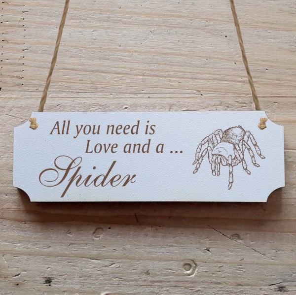 Dekoschild « All you need is Love and a Spider » Vogelspinne