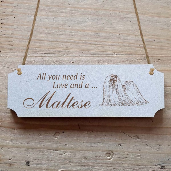 Dekoschild « All you need is Love and a Maltese » Malteser