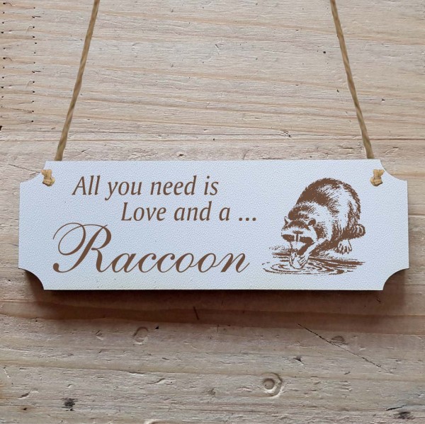 Dekoschild « All you need is Love and a Raccoon » Waschbär 2