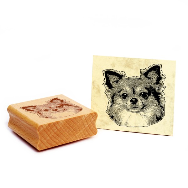 Motivstempel Langhaar Chihuahua Kopf Stempel Hund Holzstempel 48 x 48 mm
