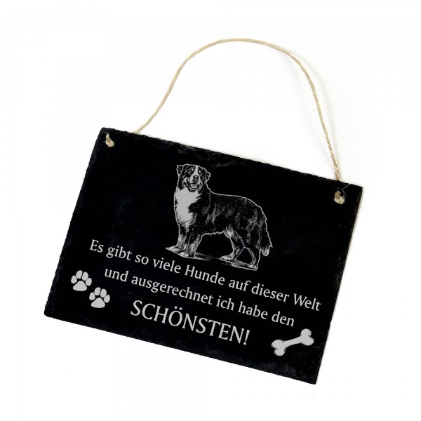 Hundeschild Berner Sennenhund Schild aus Schiefer - Ich habe den schönsten - 22cm x 16cm