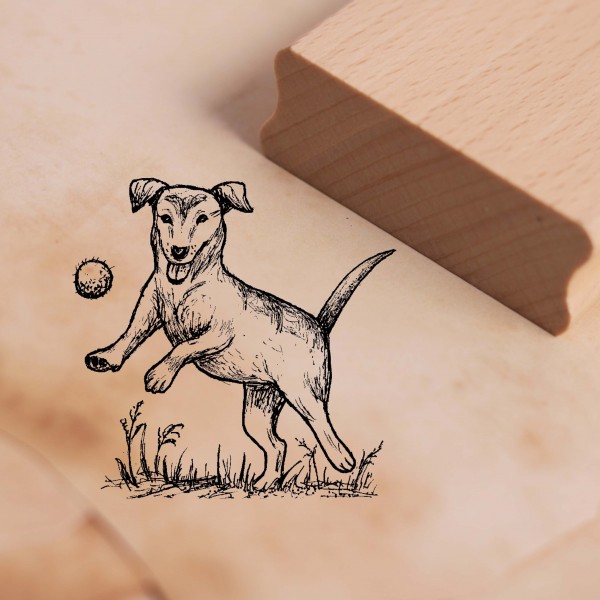 Motivstempel Hund spielt mit Ball - Stempel Holzstempel 48 x 47 mm