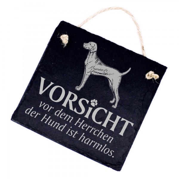 Hundeschild Vizsla Schild aus Schiefer - Vorsicht vor dem Herrchen - 11cm x 11cm
