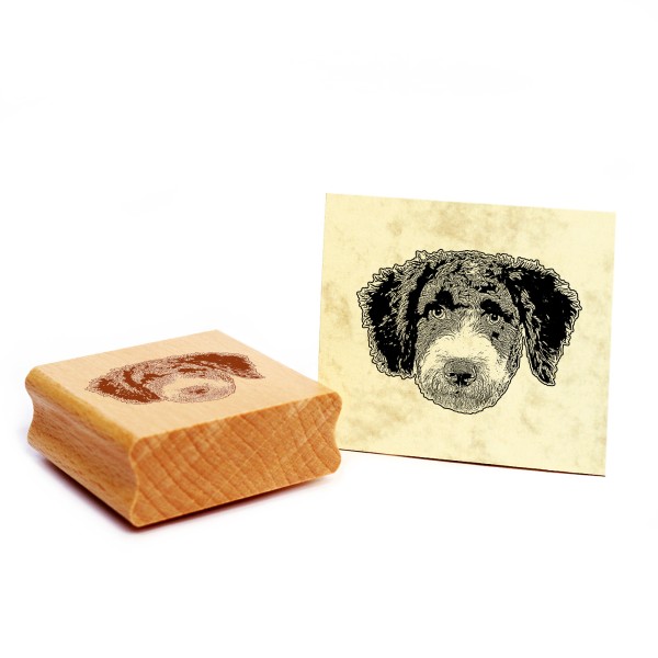 Motivstempel Spanischer Wasserhund Stempel Hund Holzstempel 48 x 35 mm