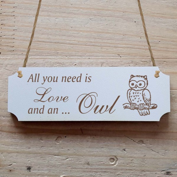 Dekoschild « All you need is Love and an Owl » Eule 3