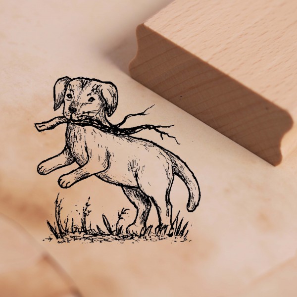 Motivstempel Hund trägt Stock - Stempel Holzstempel 48 x 48 mm