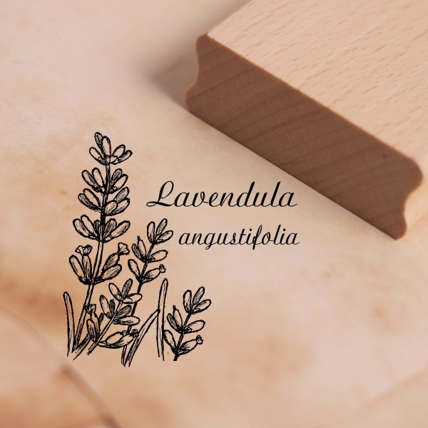 Motivstempel Lavendel Lavandula angustifolia Stempel 48 x 48 mm