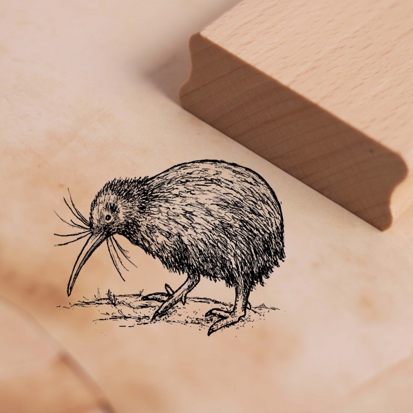 Motivstempel Kiwi - Vogel Stempel Holzstempel 48 x 37 mm