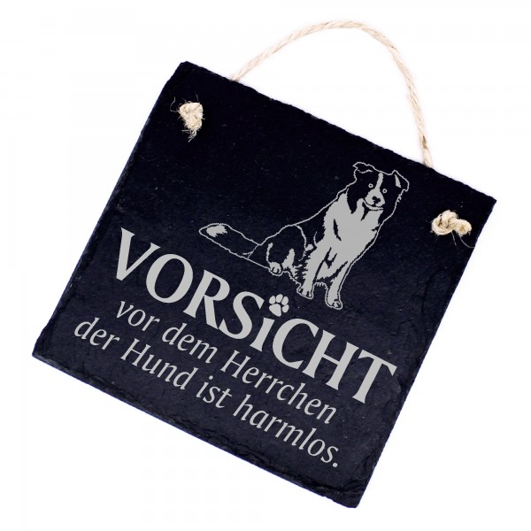 Hundeschild Border Collie Schild aus Schiefer - Vorsicht vor dem Herrchen - 11cm x 11cm