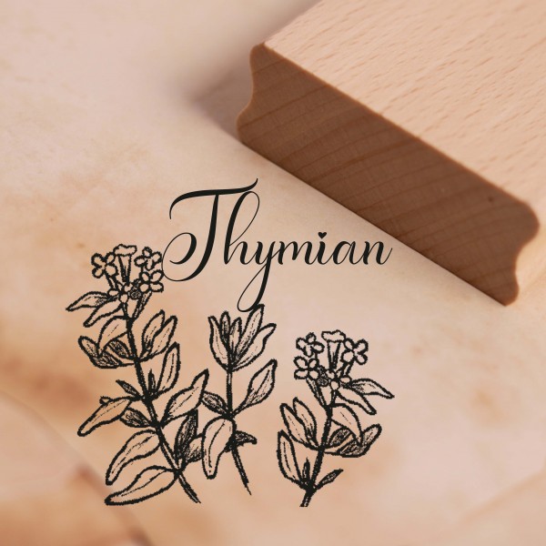 Motivstempel Thymian - Kräuter Küchenkräuter Stempel Holzstempel 48 x 48 mm