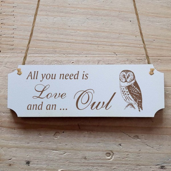 Dekoschild « All you need is Love and an Owl » Eule 1