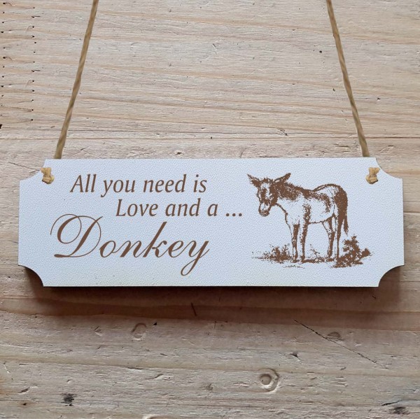 Dekoschild « All you need is Love and a Donkey » Esel 2