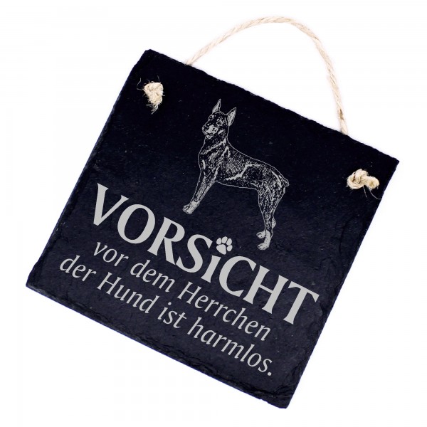 Hundeschild Pinscher Schild aus Schiefer - Vorsicht vor dem Herrchen - 11cm x 11cm