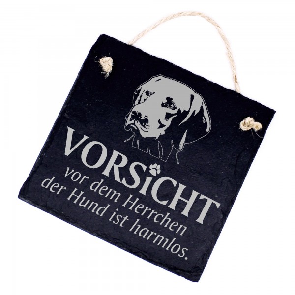 Hundeschild Vizsla Schild aus Schiefer - Vorsicht vor dem Herrchen - 11cm x 11cm