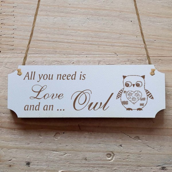 Dekoschild « All you need is Love and an Owl » Eule 4