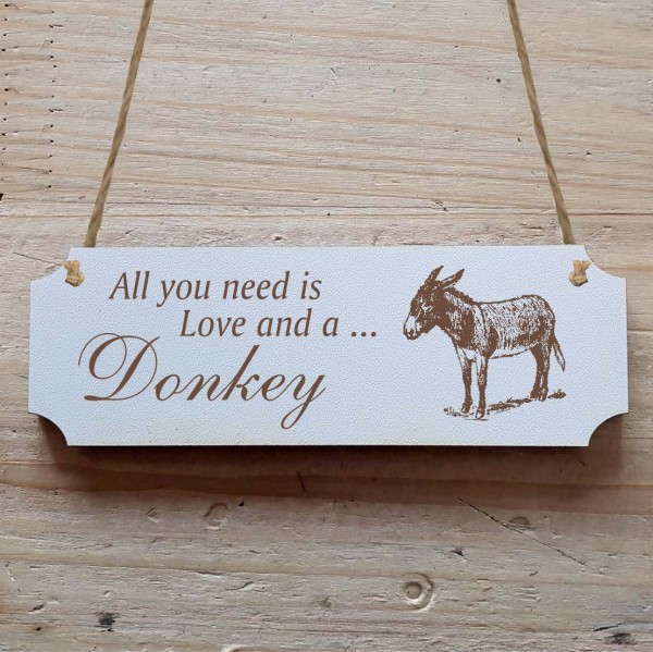 Dekoschild « All you need is Love and a Donkey » Esel 1