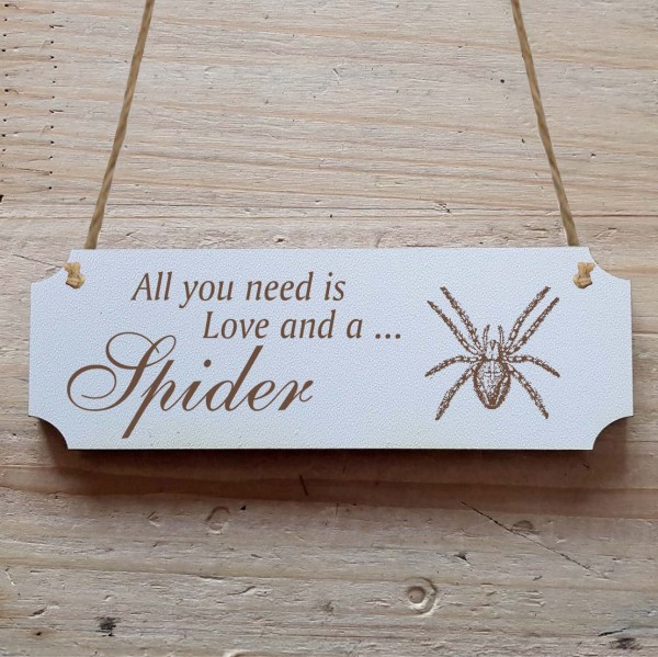 Dekoschild « All you need is Love and a Spider » Spinne 1