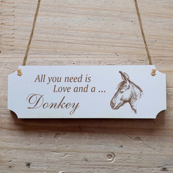 Dekoschild « All you need is Love and a Donkey » Esel 3