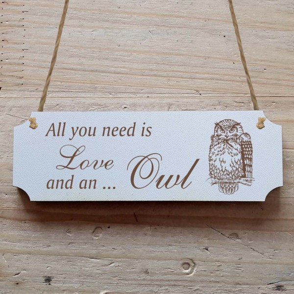 Dekoschild « All you need is Love and an Owl » Eule 2