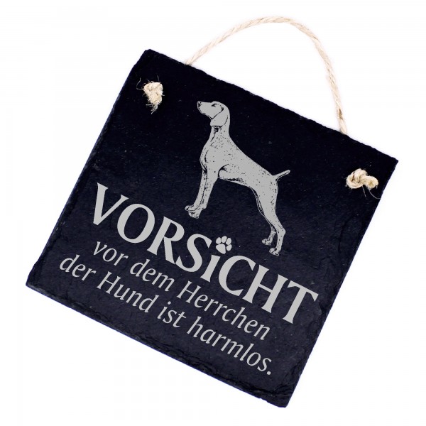 Hundeschild Weimaraner Schild aus Schiefer - Vorsicht vor dem Herrchen - 11cm x 11cm