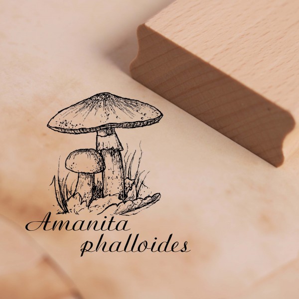 Motivstempel Amanita phalloides - Grüner Knollenblätterpilz - Stempel Holzstempel 48 x 48 mm