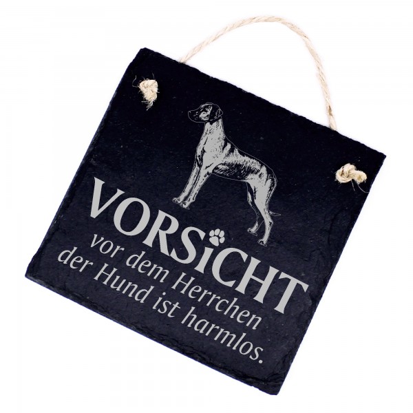 Hundeschild Rhodesian Ridgeback Schild aus Schiefer - Vorsicht vor dem Herrchen - 11cm x 11cm